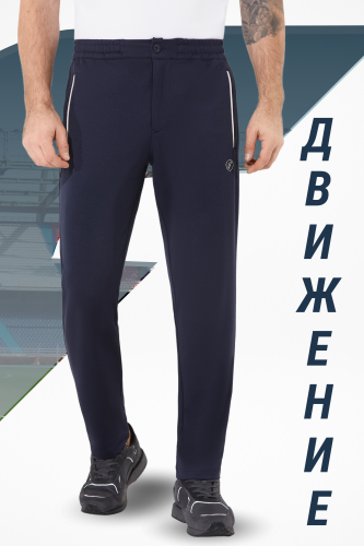 Брюки спортивные мужские (синий)